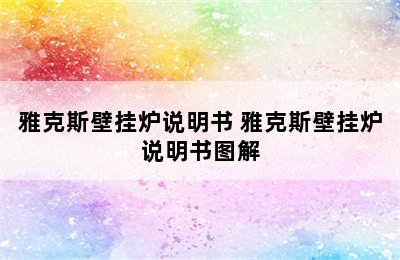 雅克斯壁挂炉说明书 雅克斯壁挂炉说明书图解